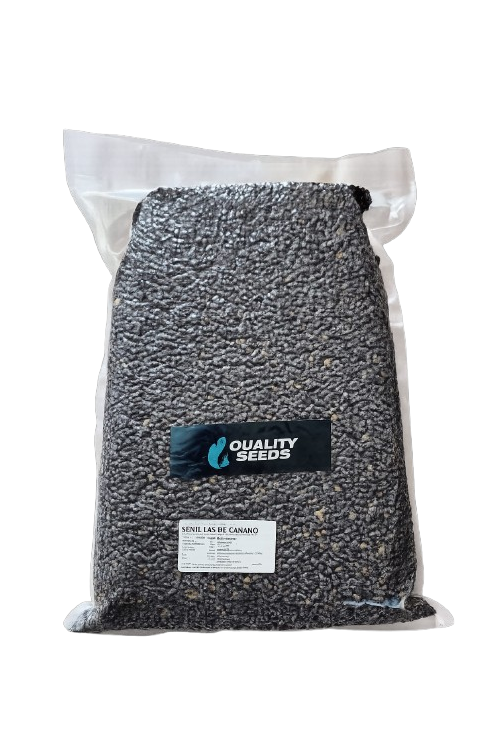 Hanf Quality Seeds 5kg