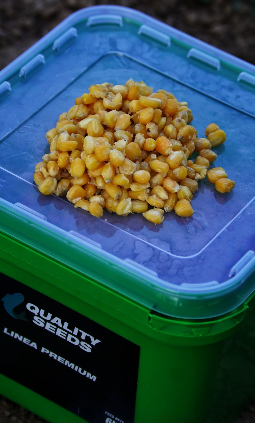 Maiseimer Quality Seeds Gelb 6kg