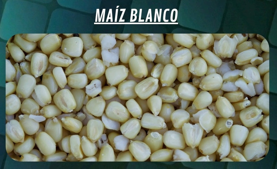 Maiseimer Quality Seeds Weiß 6kg