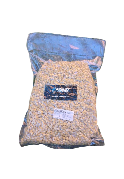 Mais Quality Seeds Weiß 5kg