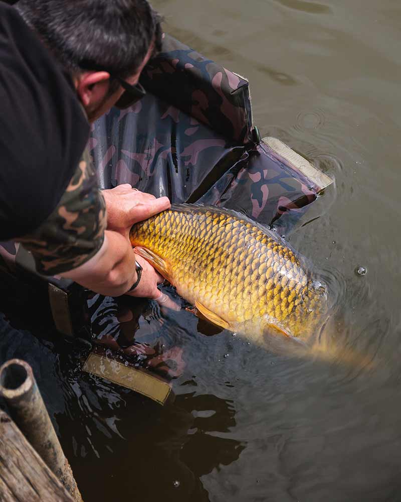 Teppich Fox Camolite