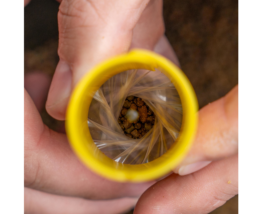 Beutelherstellungssystem pva Avid Carp