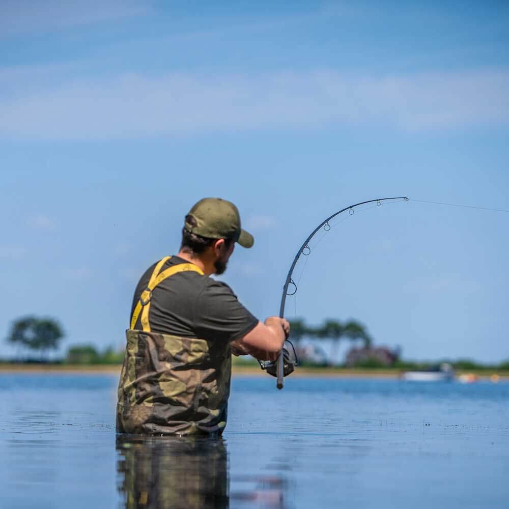 Caña Avid Carp Revolve 12 pies 3,5 lb - Tienda Carpfishing