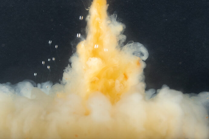 Remojo Cloudy Krill Sticky 1000 ml 2