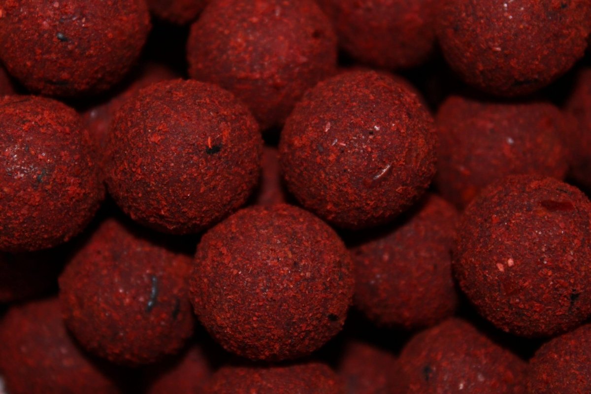 Cubo Pro Elite Baits Boilies Gold Robin Red 5 kg – 20 mm - Tienda Carpfishing