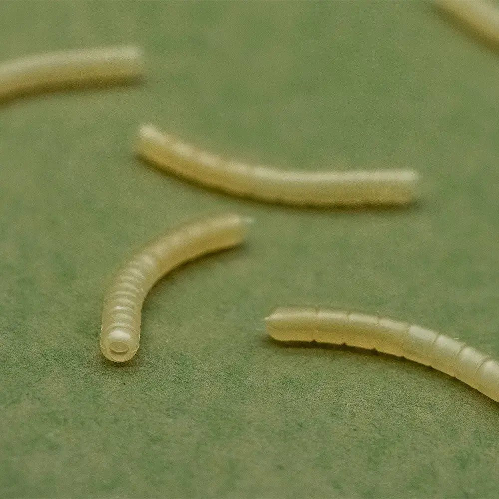 Magoliner Curve OMC Dazzlers L - Tienda Carpfishing