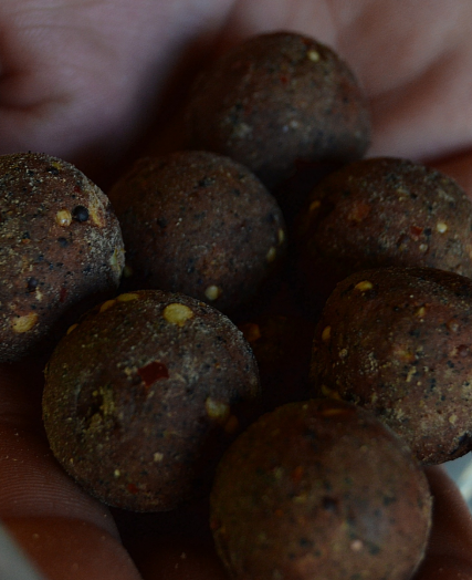 Boilies Vitalbaits Calidum 24 mm