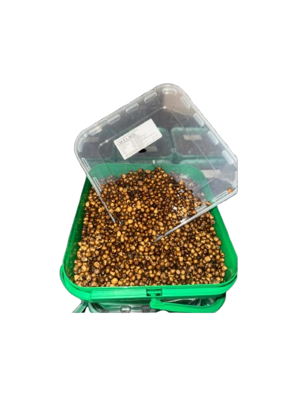 Erdmandeln Quality Seeds Mini 5kg