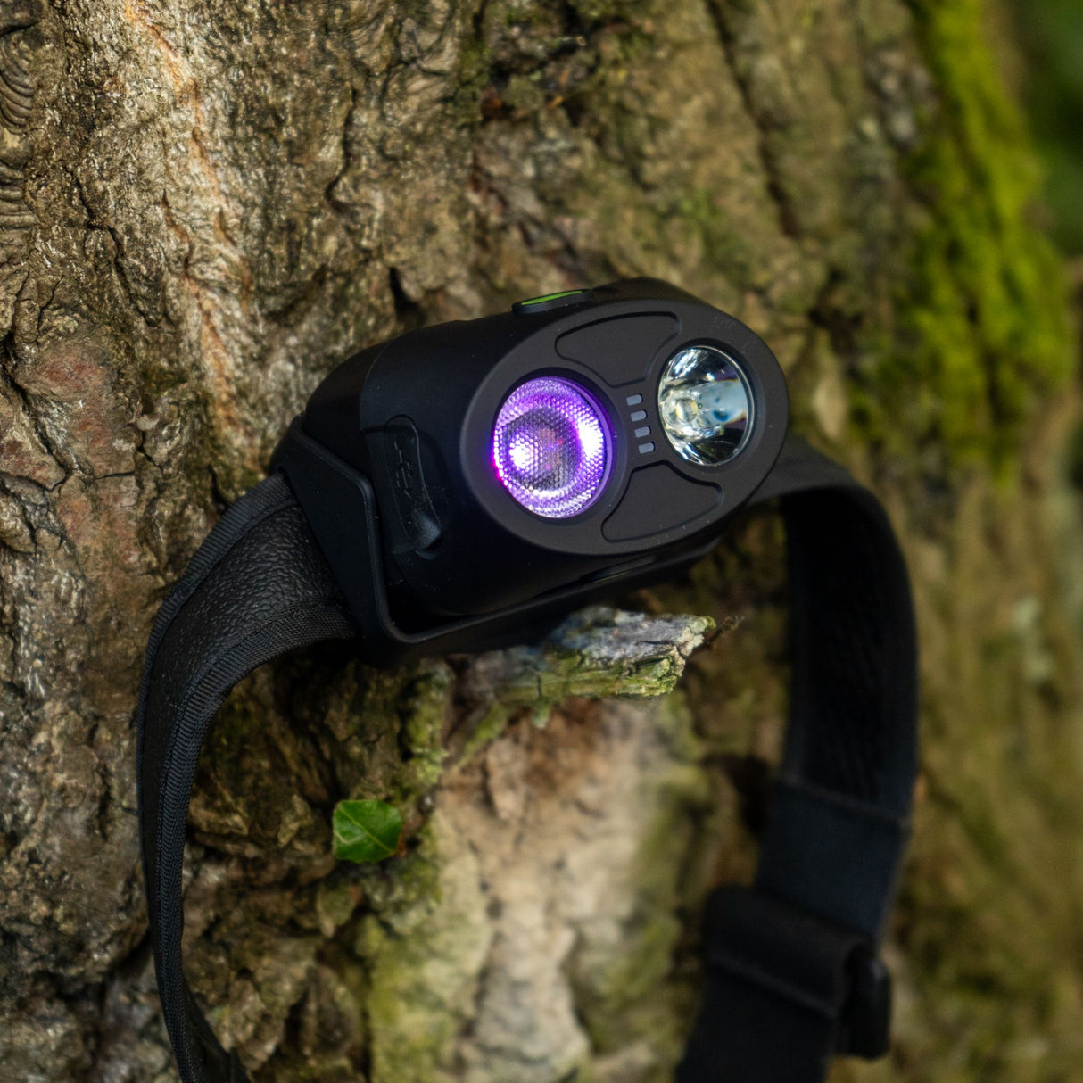 Kopf-Taschenlampe Ridge Monkey VRH300X Pro