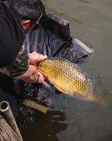 Teppich Fox Camolite