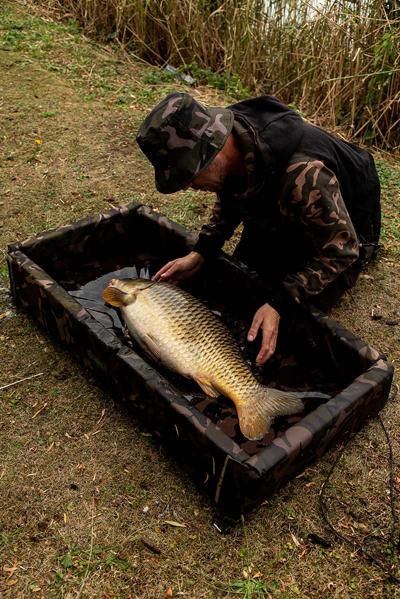 Teppich Fox Camolite