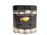 Pop Up Royal Baits Muschel 15 mm