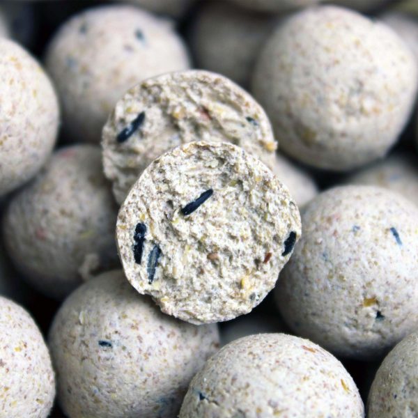 Session Pack Pro Elite Baits Ananas Scopex Weiß