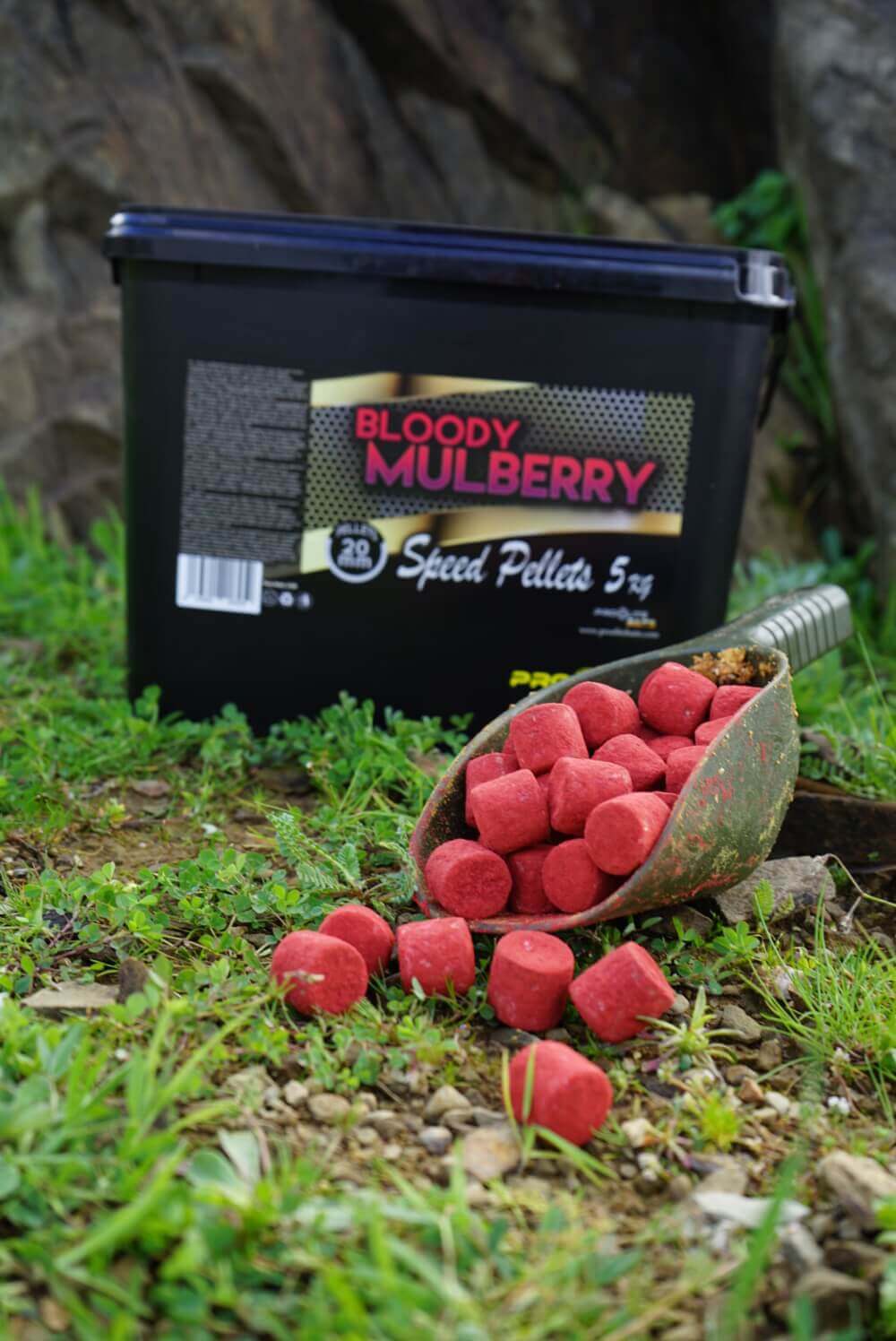 Geschwindigkeit Pellets Pro Elite Baits Gold Bloody Mulberry 20 mm 5 Kg