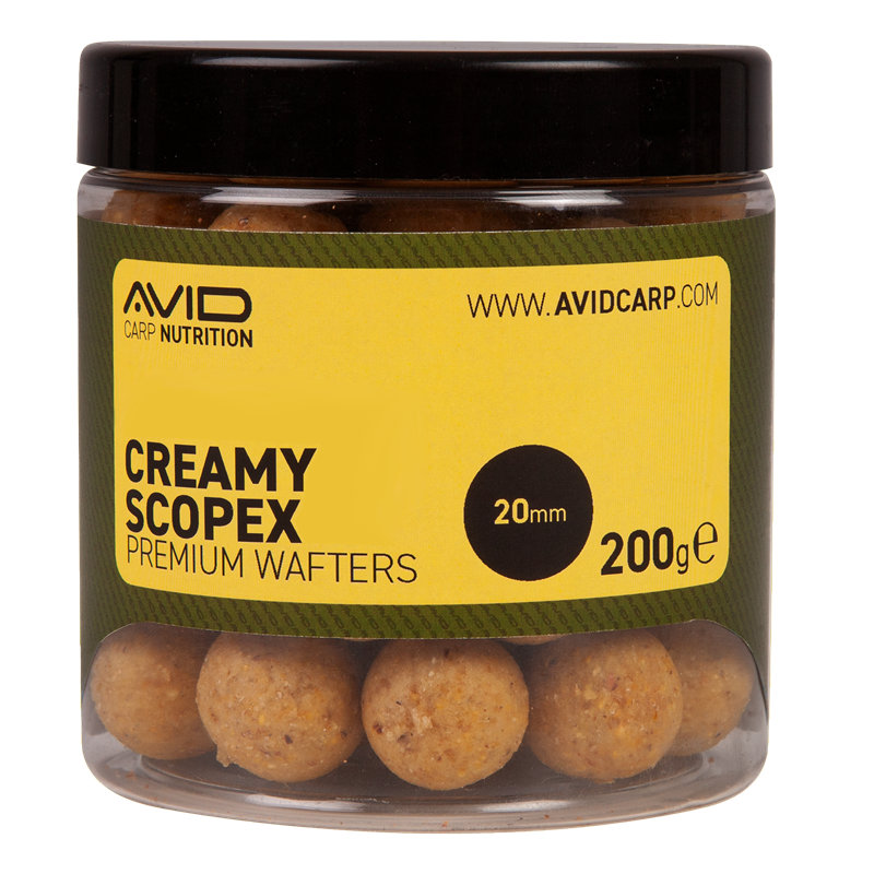 Pop ups Avid Carp Cremefarbener Scopex 20 mm