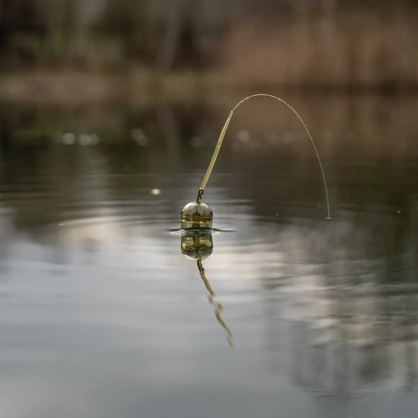 Zig Schwimmkörper Nash