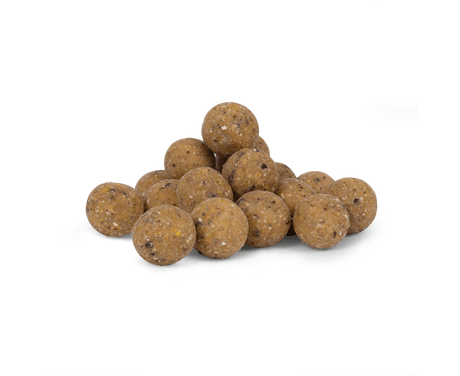 Boilies Avid Carp B8 - Up Nut 20 mm 5 Kg - Tienda Carpfishing