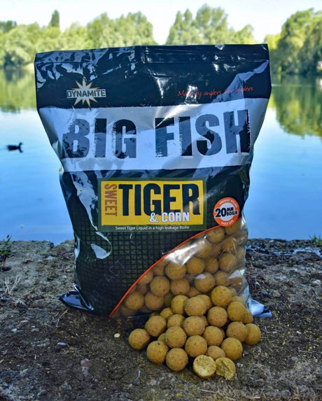 Boilies Dynamite Baits Big Fish Sweet Tiger Corn 20 mm - Tienda Carpfishing
