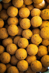 Boilies Solubles Pro Elite Baits Melon & Peach 20 mm 3,5 Kg - Tienda Carpfishing