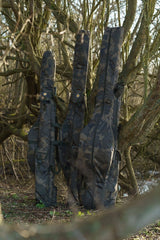 Cañero 3 cañas 10 pies Solar Worldwide - Tienda Carpfishing