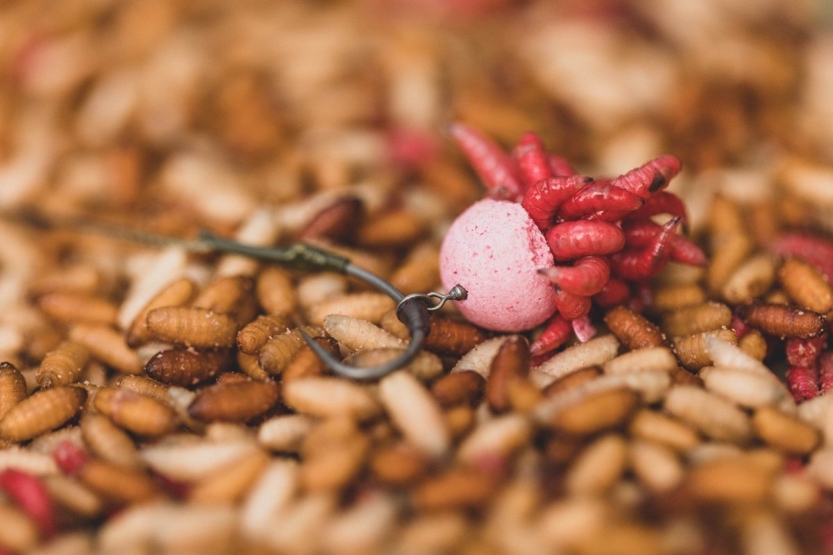 Hook Beads Korda High Grip Medium - Tienda Carpfishing