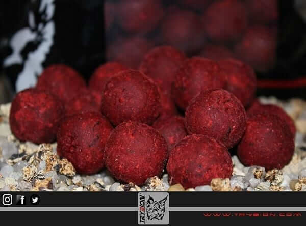 Boilies Trybion Cyprinus Max 20mm - Tienda Carpfishing