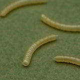 Magoliner Curve OMC Dazzlers S - Tienda Carpfishing