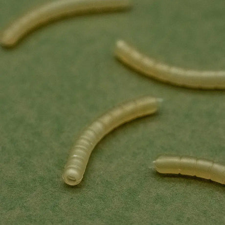 Magoliner Curve OMC Dazzlers S - Tienda Carpfishing