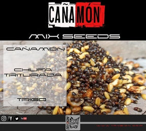 Mix Cañamón Trybion - Tienda Carpfishing