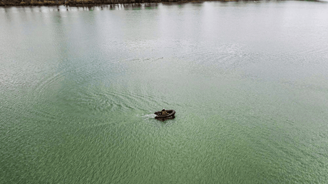 Motor Rhino BLX70 - Tienda Carpfishing